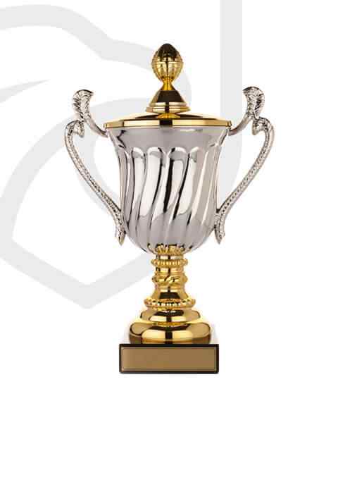 trophy_overlay_02 https://hksubotica.ikogan.space/wp-content/uploads/2022/11/trophy_overlay_02.jpg